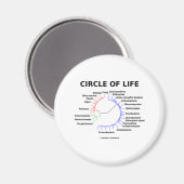 Lebenszirkel (Kreislauf-Phylogenetischer Baum) Magnet (Vorderseite/Rückseite)