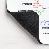 Lebenszirkel (Kreislauf-Phylogenetischer Baum) Mousepad (Ecke)