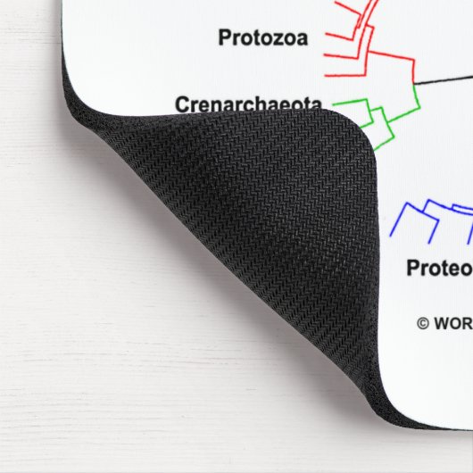 Lebenszirkel (Kreislauf-Phylogenetischer Baum) Mousepad (Ecke)