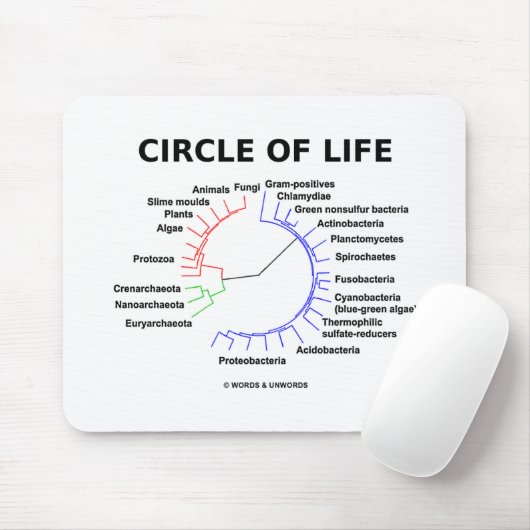 Lebenszirkel (Kreislauf-Phylogenetischer Baum) Mousepad (Mit Mouse)