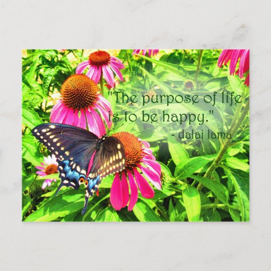 Lebenszweck glücklicher Schwarzer Frack-Schmetterl Postkarte (Vorderseite)