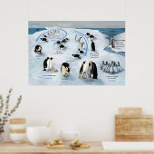 Lebenszyklus des Kaisers Pinguin Poster (Küche)