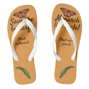 Lebenszyklus des Monarchfalters Badesandalen