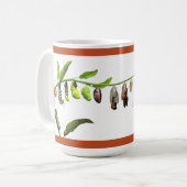 Lebenszyklus des Monarchfalters Kaffeetasse (Vorderseite Links)