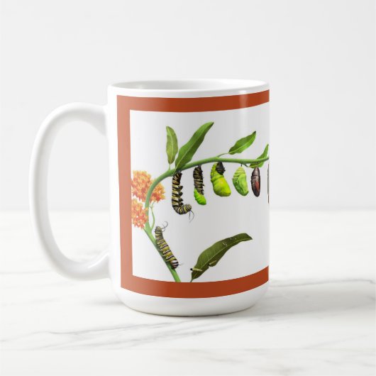 Lebenszyklus des Monarchfalters Kaffeetasse (Links)