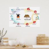 Lebenszyklus des Parasiten Babesia Poster (Küche)