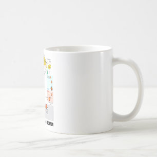 Lebenszyklus einer Blume (Angiosperme) Kaffeetasse