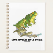 Lebenszyklus eines Frosches von Ei über Kaulquappe Planer (Vorderseite)