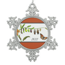 Lebenszyklus eines Schmetterlings