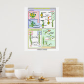 Lebenszyklus eines typischen Moos (Bryophyt) Poster (Küche)