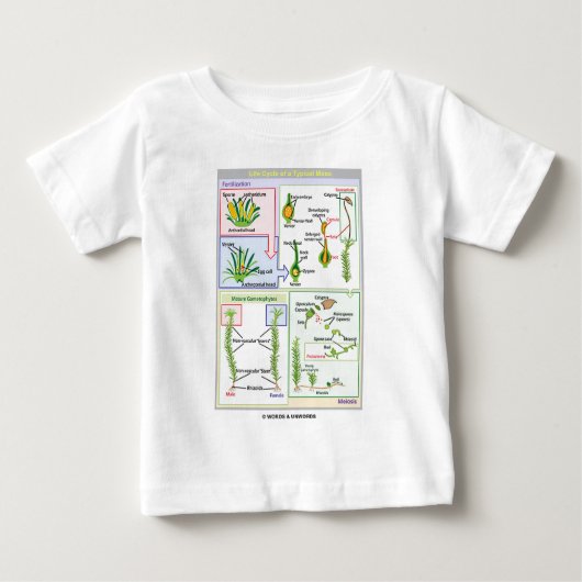 Lebenszyklus eines typischen Mooses (Bryophyte) Baby T-shirt (Vorderseite)