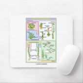 Lebenszyklus eines typischen Mooses (Bryophyte) Mousepad (Mit Mouse)