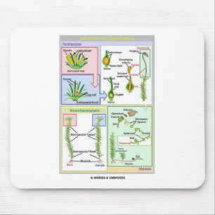 Lebenszyklus eines typischen Mooses (Bryophyte) Mousepad