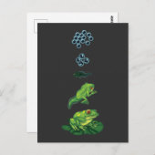 Lebenszyklus Frog Metamorphosis Ei Kaulquappen Fro Postkarte (Vorne/Hinten)