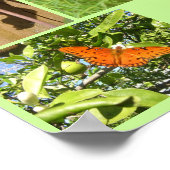 Lebenszyklus Poster (Ecke)