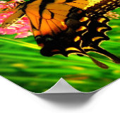 Lebenszyklus Poster (Ecke)