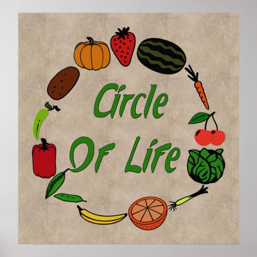 Lebenszyklus Poster (Vorne)