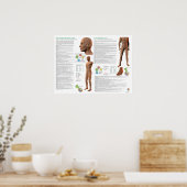 Leber-Meridian Akupunkturpunkte Poster (Küche)