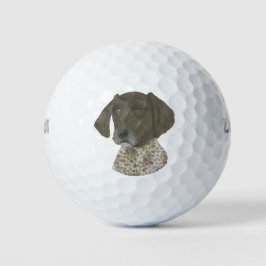 Leber und weißer deutscher Kurzzeiger Golfball