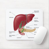 Leberpankreasdiagramm Mousepad (Mit Mouse)