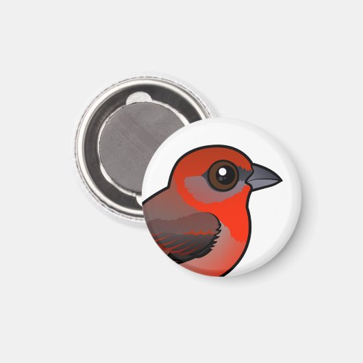 Lebertanager Magnet (Vorderseite/Rückseite)