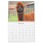 Lebewesen ~ Kalender 2012 (Mär 2027)
