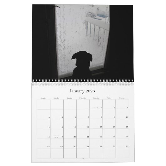 Lebewesen ~ Kalender 2012 (Jan 2026)