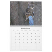 Lebewesen ~ Kalender 2012 (Feb 2026)