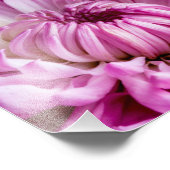 Lebhaft in Pink Dahlia Fotodruck (Ecke)
