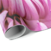 Lebhaft in Pink Dahlia Geschenkpapier (Rolleneckpunkt)