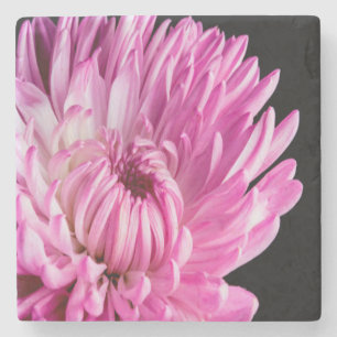 Lebhaft in Pink Dahlia Steinuntersetzer