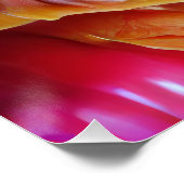 Lebhafte Abstrakte Tulip Reflections Poster (Ecke)