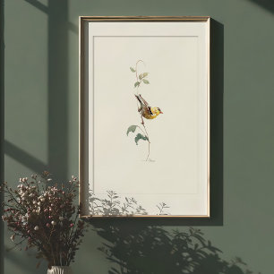 Lebhafte amerikanische Goldfinch Wasserfarben Kuns Poster