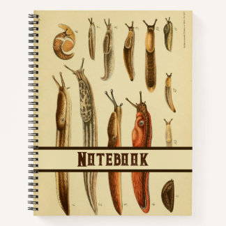 Lebhafte antike Slug-Illustration Naturgeschichte Notizblock