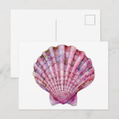 Lebhafte Aquarellfarben-Rosa-Muscheldarstellung Postkarte (Vorne/Hinten)