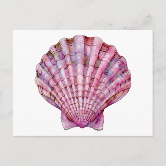 Lebhafte Aquarellfarben-Rosa-Muscheldarstellung Postkarte (Vorderseite)