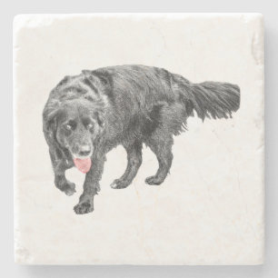 Lebhafte Augen, Rote Zunge Steinuntersetzer