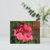 Lebhafte Begonia-Blume Postkarte (Stehend Vorderseite)