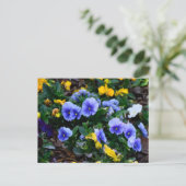 Lebhafte blaue Pansy-Blume Postkarte (Stehend Vorderseite)