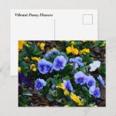 Lebhafte blaue Pansy-Blume Postkarte (Vorne/Hinten)