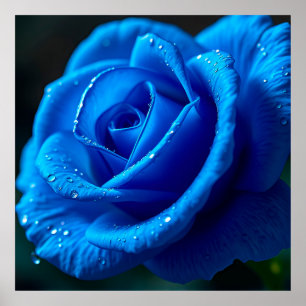 Lebhafte blaue Rose mit Wasserfällen Poster