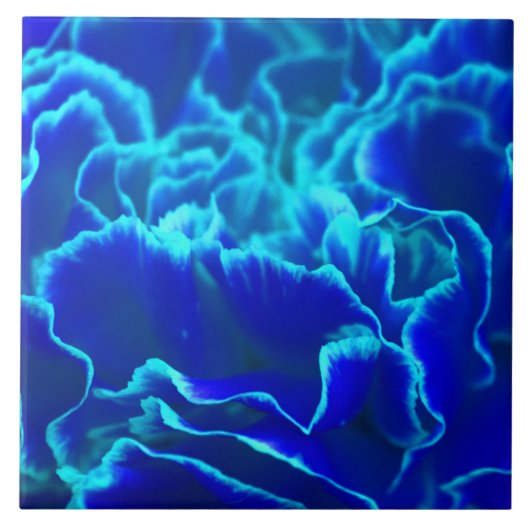 Lebhafte blaue und Aquamarine Carnation-Blume Fliese (Vorderseite)