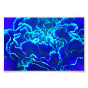 Lebhafte blaue und Aquamarine Carnation-Blume Fotodruck