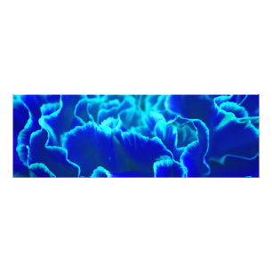 Lebhafte blaue und Aquamarine Carnation-Blume Fotodruck