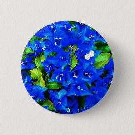 Lebhafte Blue Bougainvillea Blume Button