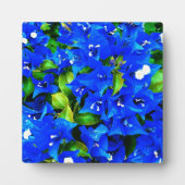 Lebhafte Blue Bougainvillea Blume Fotoplatte (Vorderseite)
