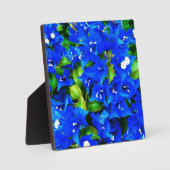 Lebhafte Blue Bougainvillea Blume Fotoplatte (Vorderseite)