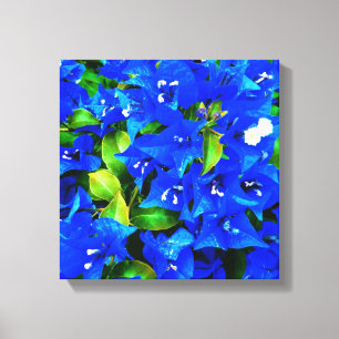 Lebhafte Blue Bougainvillea Blume Leinwanddruck