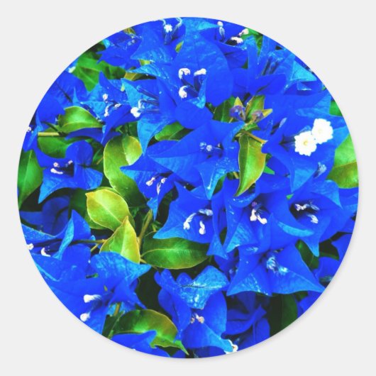 Lebhafte Blue Bougainvillea Blume Runder Aufkleber (Vorderseite)