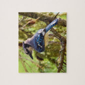 Lebhafte Blue Jay im Hinterhof - 8x10 - 110 Stk. Puzzle (Vertikal)